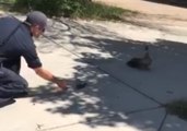 Boise Firefighters Use Mother Duck Recording to Help Rescue Ducklings