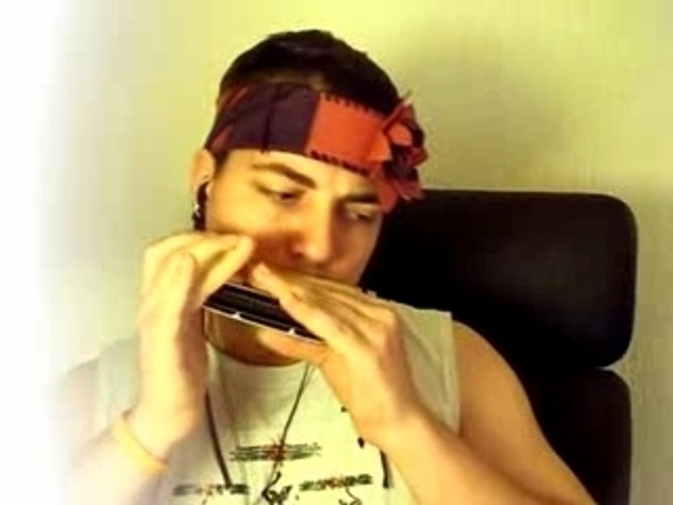 Harmonica - Comme Un Arbre Acapella - Maxime Le Forestier