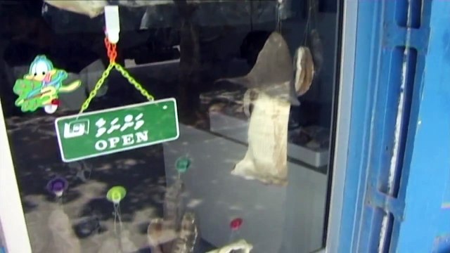 Maldives: diving paradise (part 3)