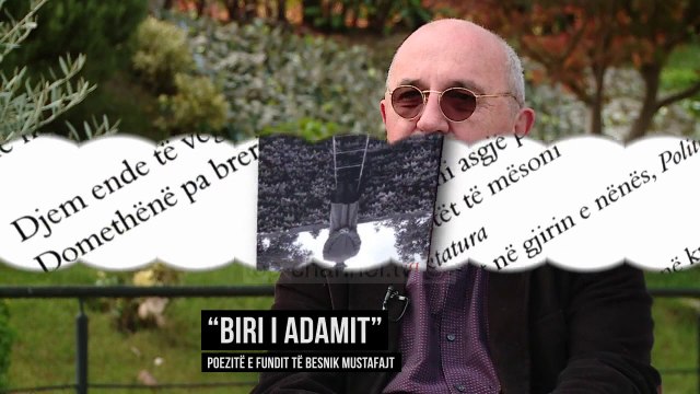 Vitrina e Librit, 12 Nëntor 2017