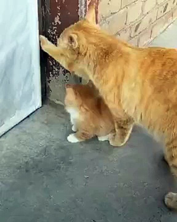 Mommy Doesn’t Care Anymore