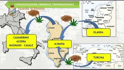 Goditet organizata e trafikut te droges