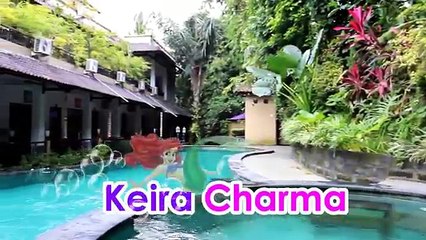 DONGENG PUTRI IKAN DAN TONGKAT AJAIB