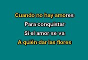 Roberto Carlos - Si elamor se va (Karaoke)