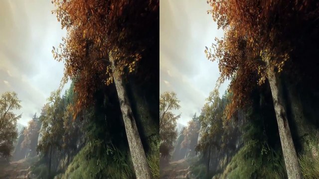 VR Video 3D Relaxing Walk in Forest VR 360 [Google Cardboard VR Box 360] Virtual Reality 3D