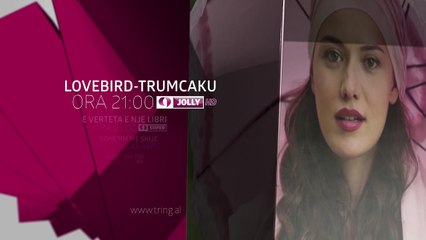 Sonte ne Tring| E Enjte 16 Nentor 2017