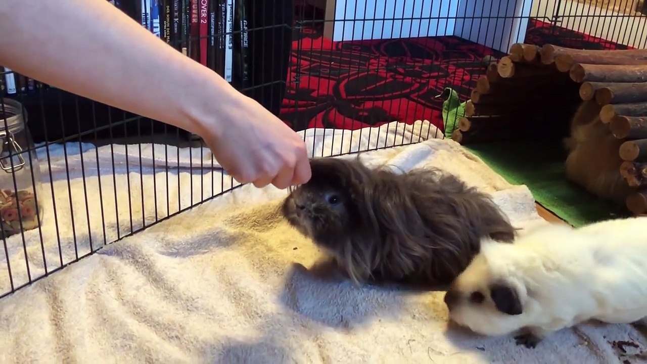 Sie kann es ja DOCH  | Die Müffelstücke