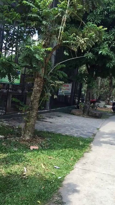 Hornbill Training