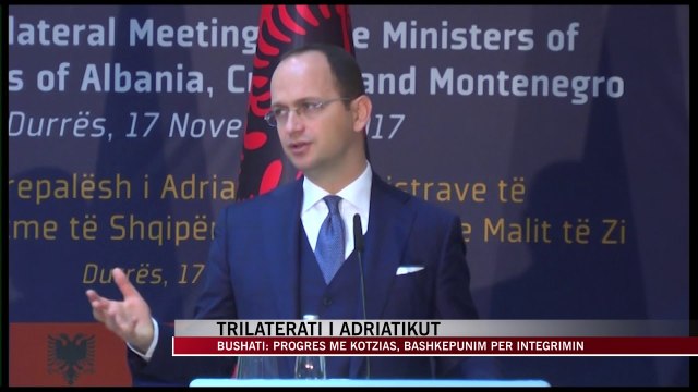 Bushati: Progres me Kotzias, bashkëpunim për integrimin - News, Lajme - Vizion Plus