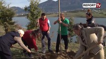 Report TV - Pylli Orbital, Veliaj: Vijon mbjellja e pemëve te liqeni i Farkės