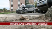 MUNGOJNË VIJAT E BARDHA, FËMIJËT E RREZIKUAR