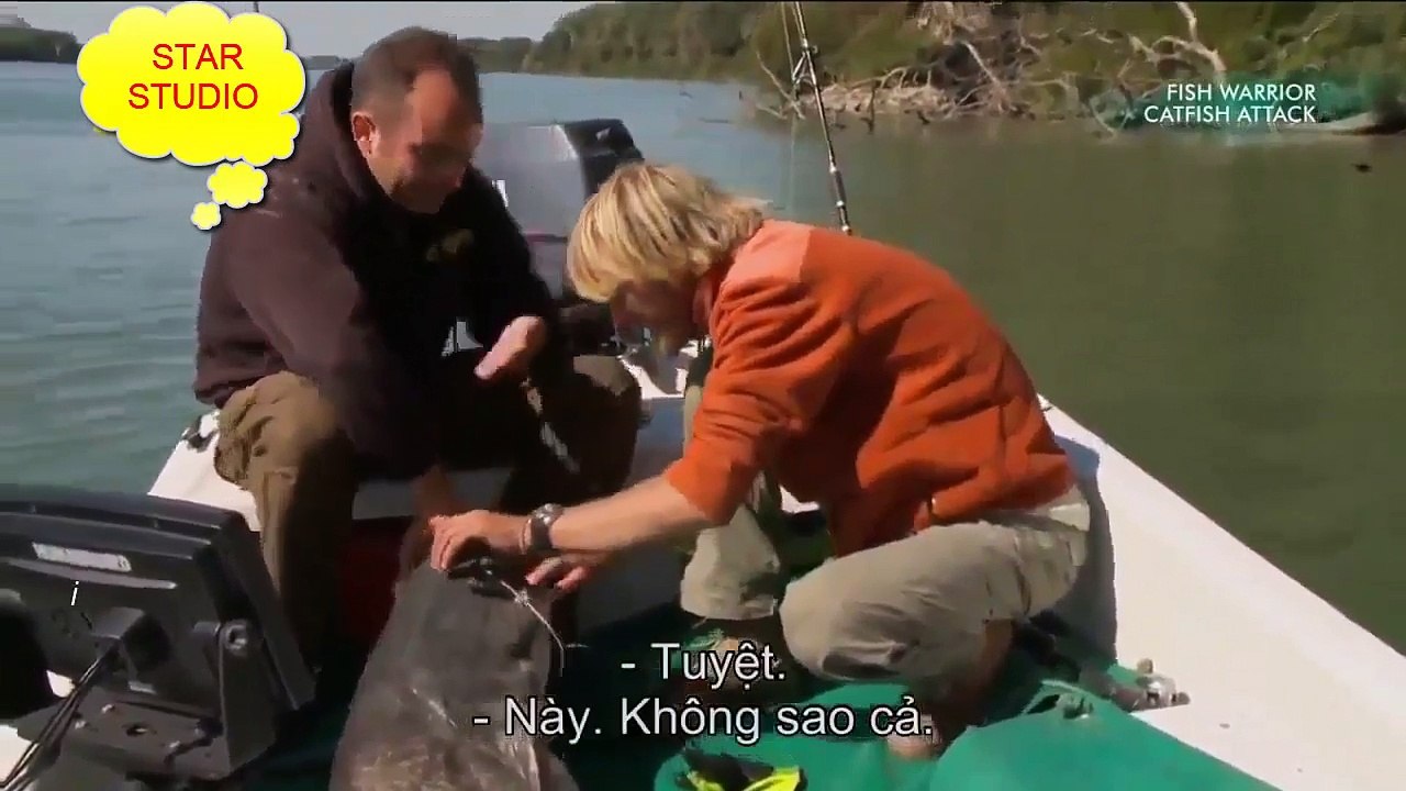 Biggest cat fish attacks and catch- HD 2018
