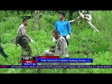 Polisi Temukan 6 Hektar Ladang Ganja di Aceh - NET 24