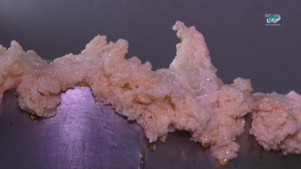 Ne Shtepine Tone, 23 Nentor 2017, Pjesa 2 - Prodhimi i birrës artizanale