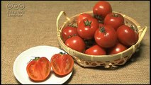 美しいトマト＠青山清利（論文用）