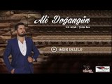 Ali Doğangün - Ağır Delilo-Halay (Official Audio) KLAY MUZİK