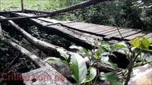 Una odisea deben pasar los residentes de Lucha Franco en Las Cumbres.  Un puente en mal estado y una representante que desconoce de la situación. ¿Quién arregla