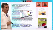 ygs lys edebiyat Tanzimat Edebiyati - Tanzimat Donemi Sanatcilari - 1