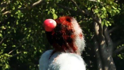 Atomic Heart - Trailer d'annuncio