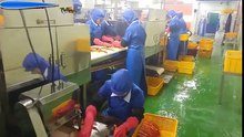 Modern Food Processing Technology - Amazing Automatic Crab Processing Machines