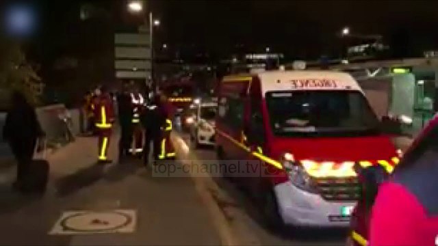 Tigri “xhiro” nëpër Paris, arratiset nga cirku - Top Channel Albania - News - Lajme