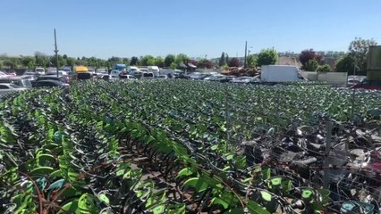Si rares à Paris, les Vélib’ attendent par centaines leur déploiement dans une fourrière de la banlieue
