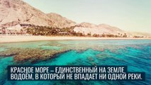 Удивительные географические факты, которые вы могли не знать