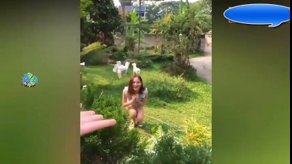 Tik tok - The most trending Music dance today