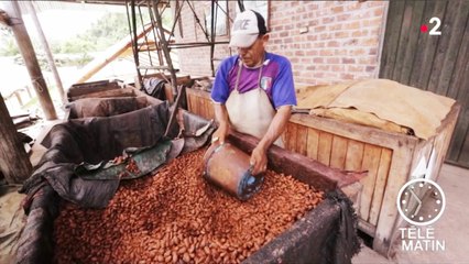 Environs - La quinzaine du commerce équitable