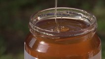 Florin Dautaga tregon për llojet e mjaltit në komunën e Gjakovës - Lajme