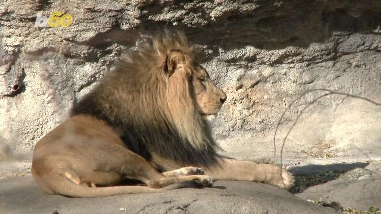 The Weirdest Jobs Celebs Had Before Fame