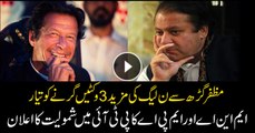 PMLN's MPA and MNA announced to join PTI