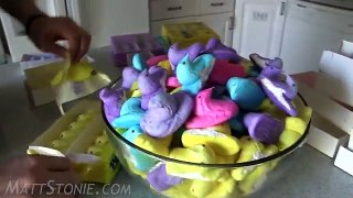 Man Eats 200 Peeps in One Sitting (World Record)