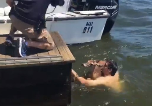 Man Jumps Into Lake to Rescue Deer in Montgomery County, Texas