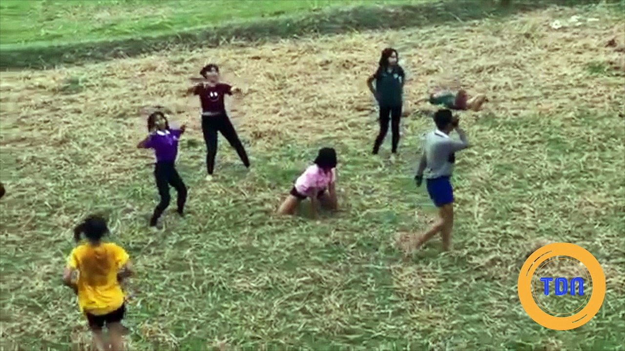 Les vaches n'aiment pas la danse