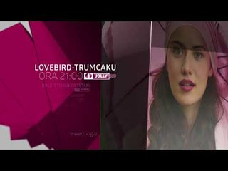 Sonte ne Tring| E Enjte 30 Nentor 2017