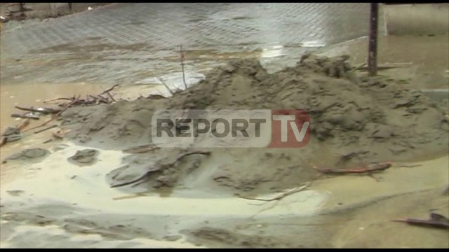 Report TV - Tërhiqen ujërat në Fushë Kruja, dhjetëra kafshë të ngordhura