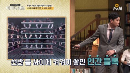 (돈이 뭐라고 ㅠㅠ) 끔찍한 노예 제도의 탄생