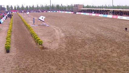 Etnospor Kültür Festivali - İstanbul