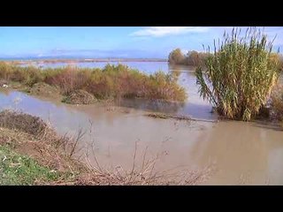 Ora News - Situata në Lushnje drejt përmirësimit, Semani dhe Shkumbini tërhiqen në shtrat!