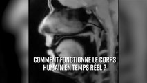 L'intérieur du corps humain filmé en IRM !