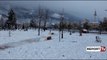 Report TV - Kukës,nisin me intensitet reshjet e borës, lartësia deri në 30 cm