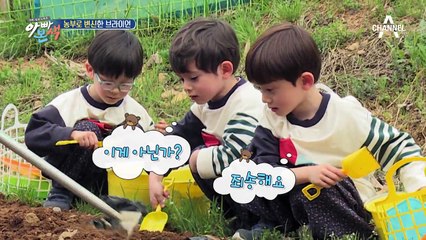 삼둥이는 흙장난 중!? 생애 첫 감자 심기 체험!