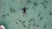 Guy Swims With Blacktip Reef Sharks in French Polynesia
