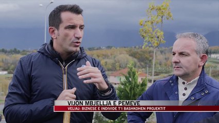 Vijon mbjellja e pemëve në Tiranë - News, Lajme - Vizion Plus