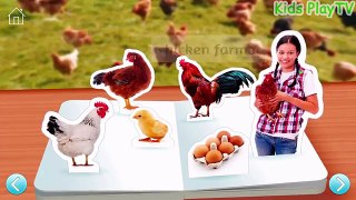 On The Farm Animal 3D - Learn Animal Pets For Kids