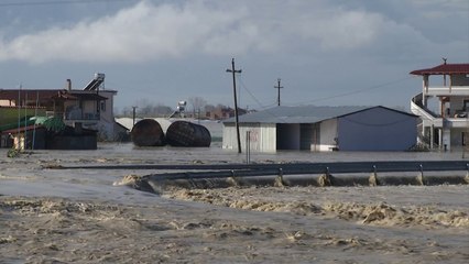 Ora News – Ikën shiu, vjen acari