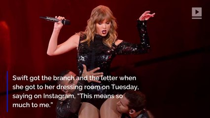 Katy Perry Sends Olive Branch, Letter to Taylor Swift