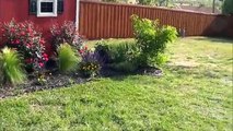 How we Stained our New Cedar Wood Fence