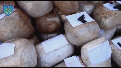 Ora News - Greqi, sekuestrohen pranë kufirit me Shqipërinë 230 kg kanabis